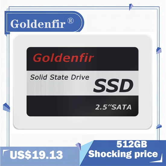 Goldenfir Solid State Drive 60GB 120GB 2.5